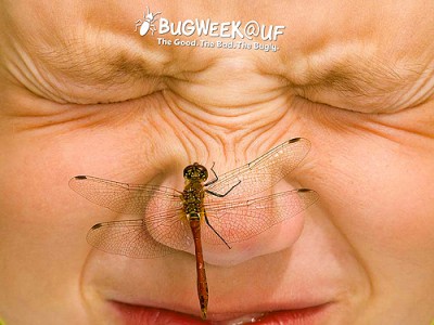 Bug Week